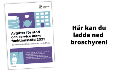 Avgiftsbroschyr 2025