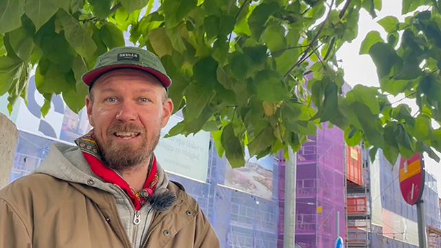 Stadsträd är livsviktiga för växande städer 