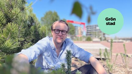 Johan Rehngren, stadsträdgårdsmästare i Göteborg