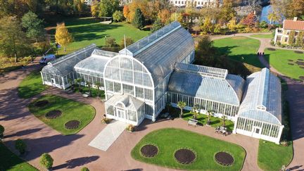 Drönarbild av Palmhuset