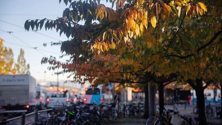 Bild från Järntorget med parkerade cyklar och en buss på väg