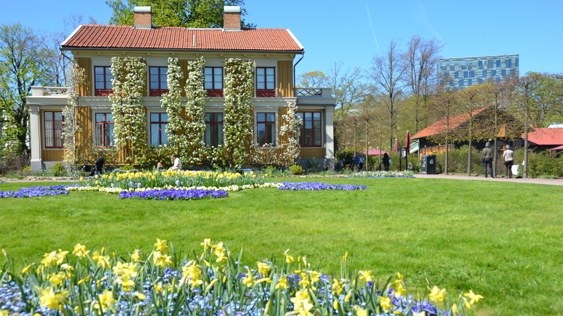 Parkens byggnader rustas upp