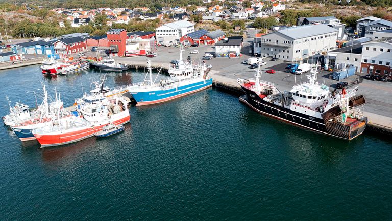 Bild på tre båtar som ligger i hamnen