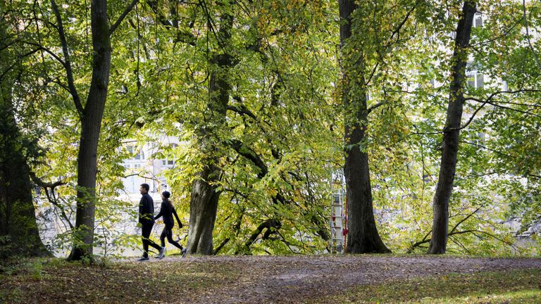 Två personer promenerar i en grönskande park.