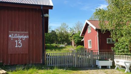 Röda stugor med vita staket.