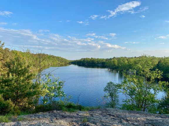 Promenera runt en sjö i Göteborg – tre tips för fina naturupplevelser nära stan
