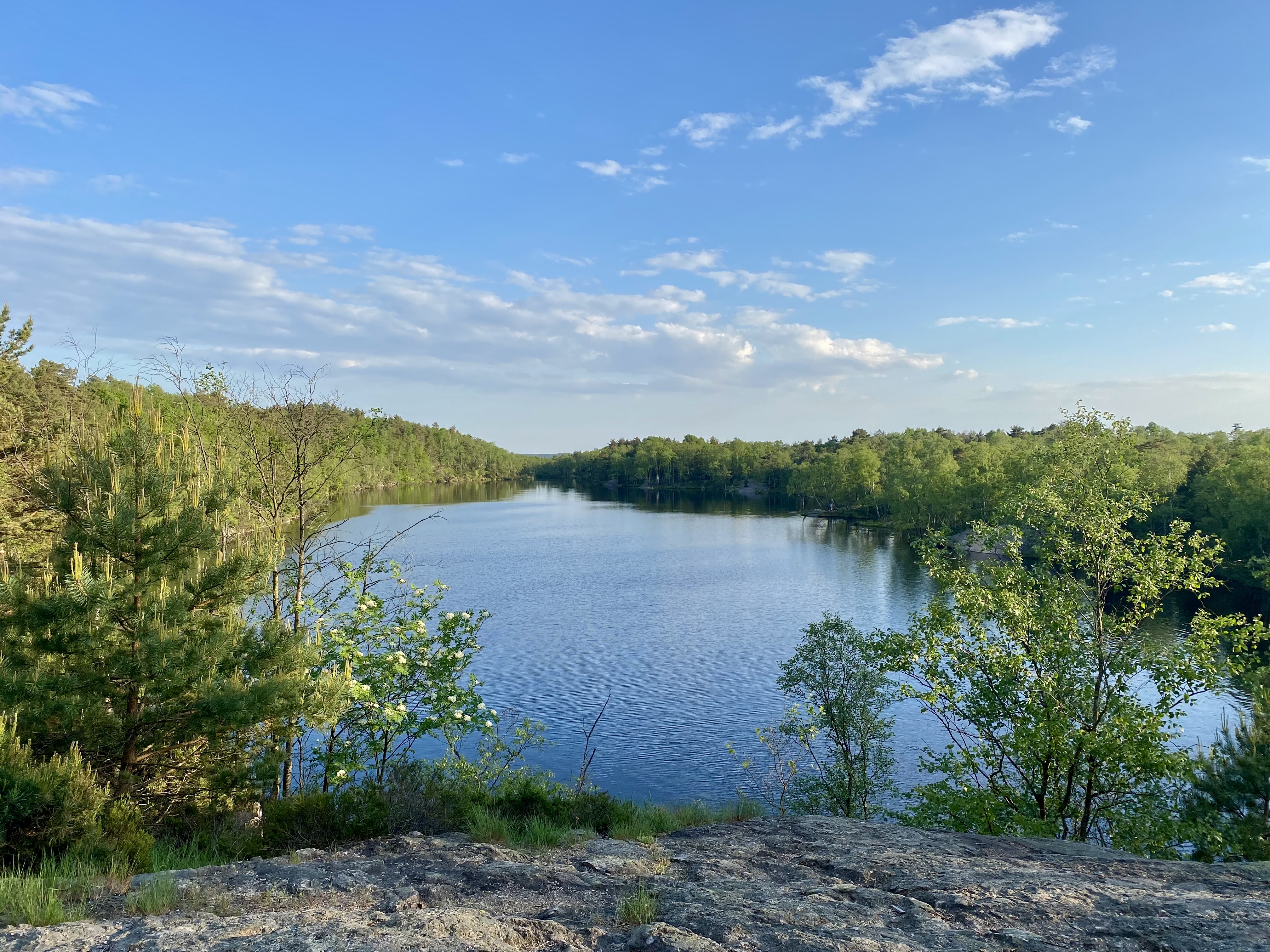 Promenera runt en sjö i Göteborg – tre tips för fina naturupplevelser nära stan