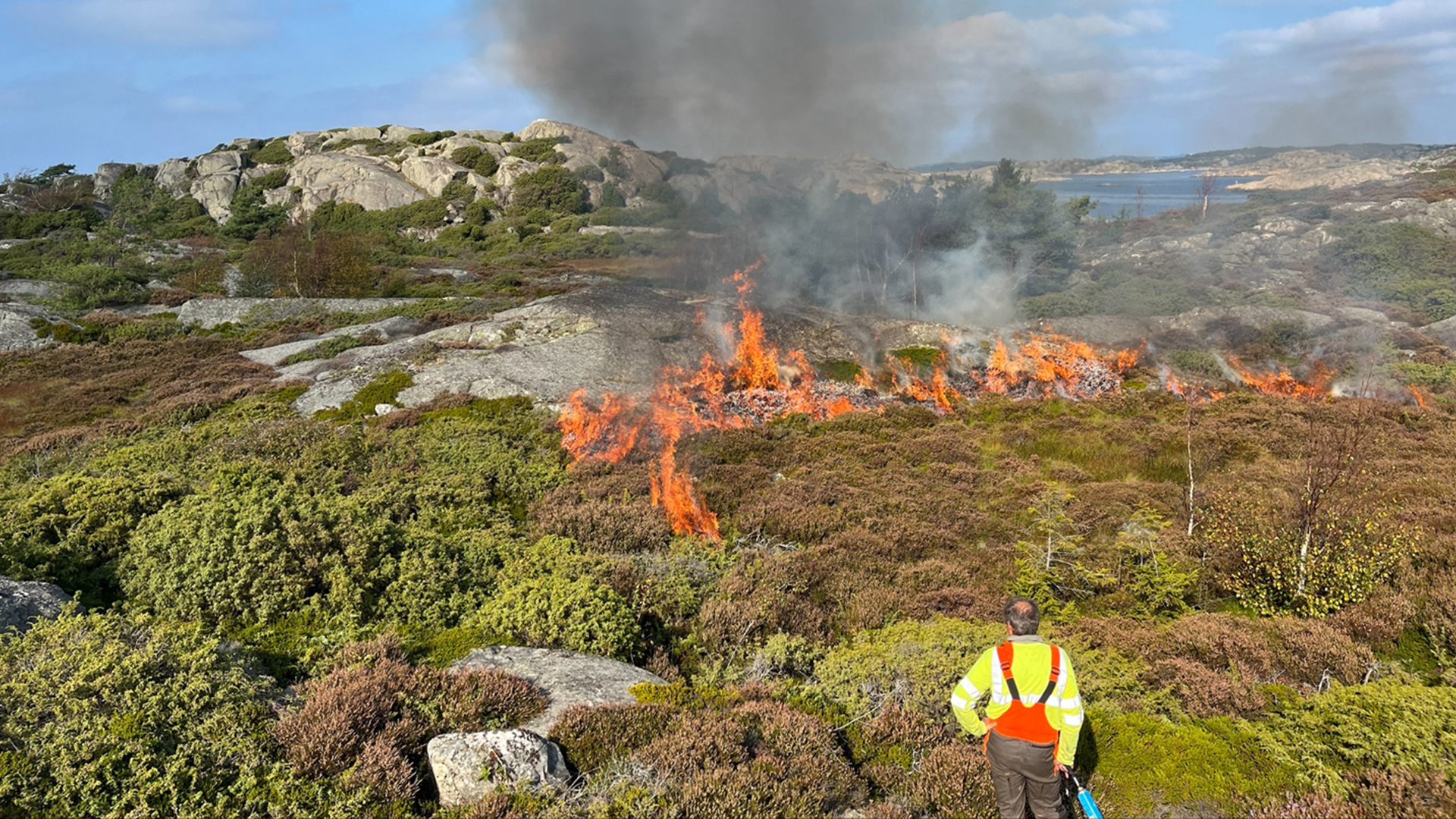 Naturvårdsbränning på Stora Lövö 2024. Foto: Stadsmiljöförvaltningen