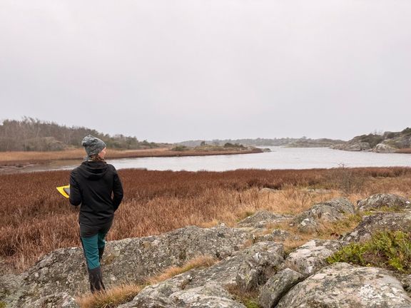 en havsvik med strandäng och klippor