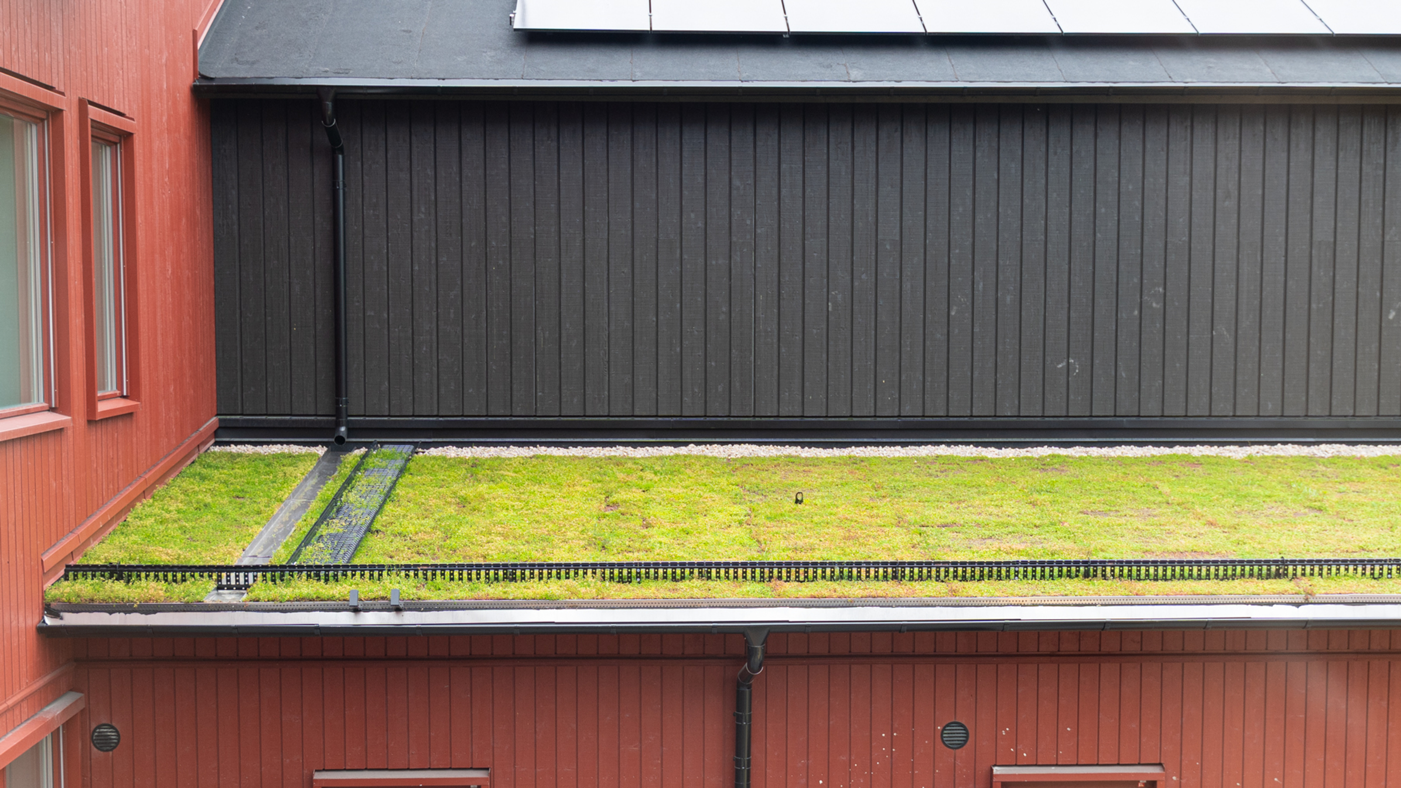 Ett svart tak med solceller. Nedanför är ett lägre tak med grön sedum på.