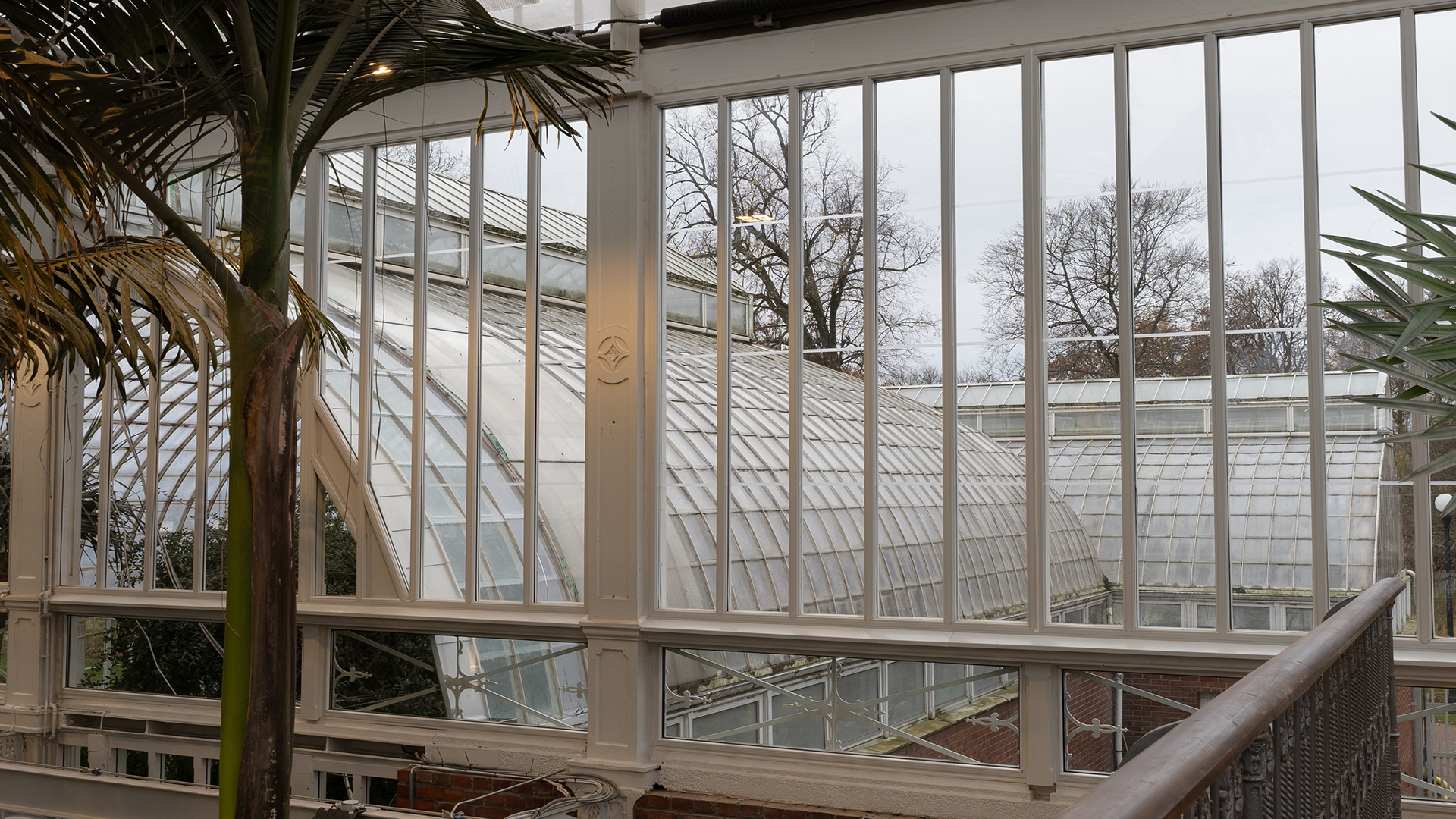 Fr&aring;n insidan av ett v&auml;xthus ser man fler v&auml;xthus.