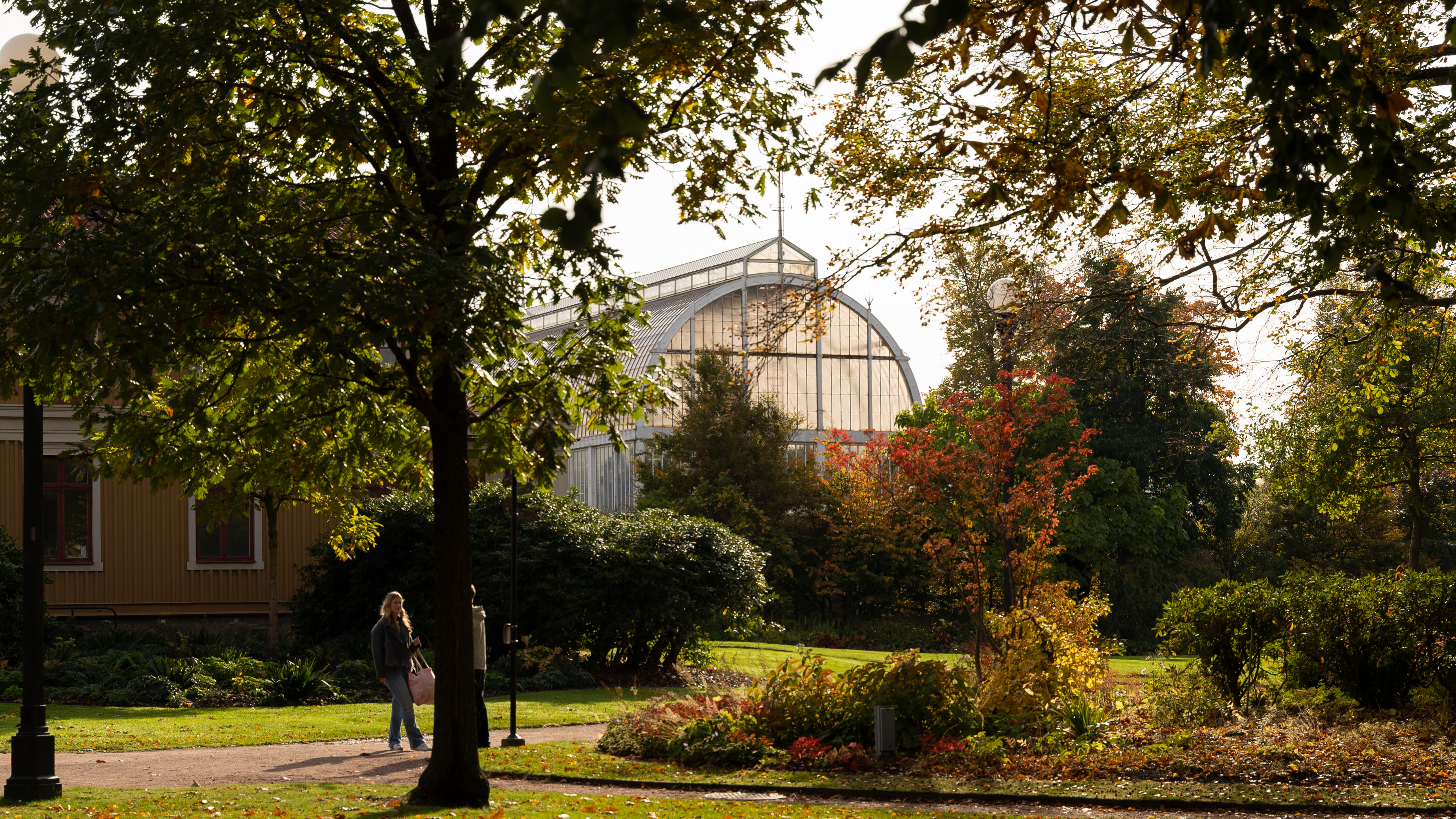 Ett stort växthus i bakgrunden med träd i förgrunden.
