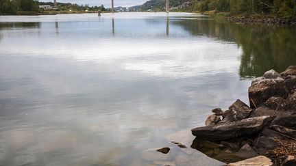En älv med stenig strand