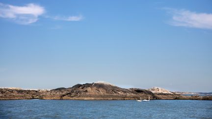 Två svanar simmar ut med en holme. Himlen är blå med lätta moln.