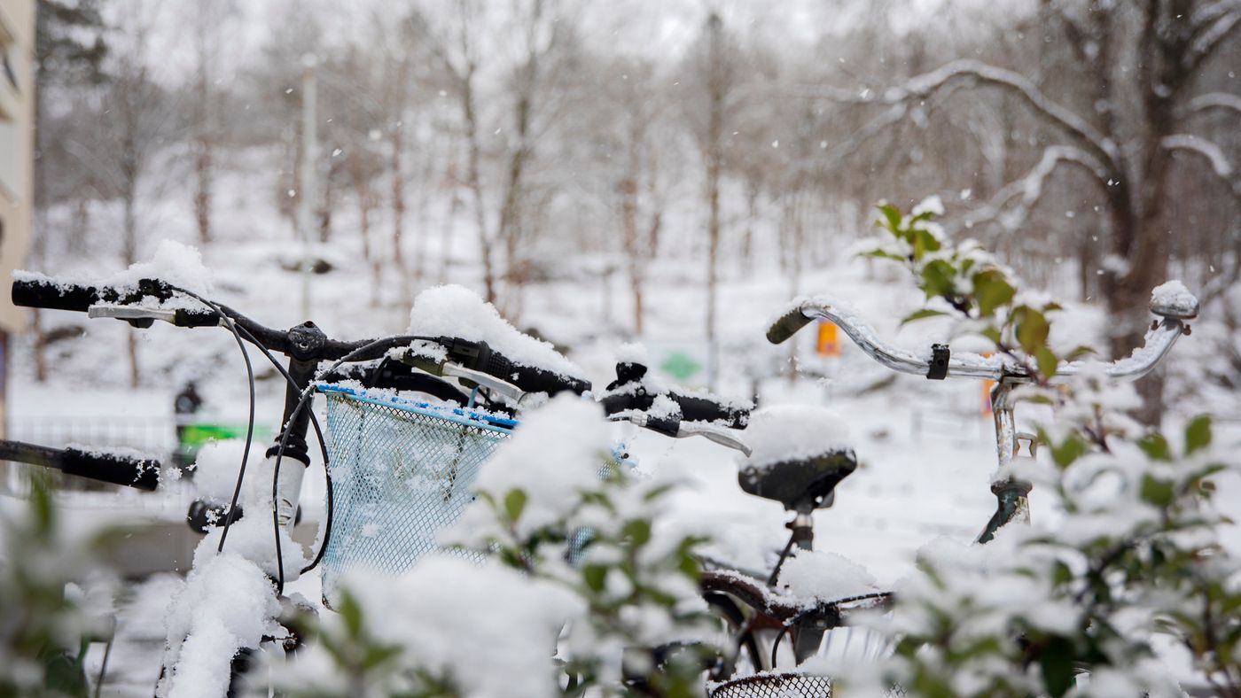 Cyklar parkerade i snö