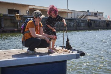 Flytevi ligger intill mötesplatsen Omställningslabbet i Frihamnen. Foto: Marie Ullnert
