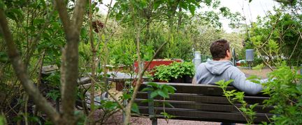 En person sitter på en bänk vid en grön uteplats.