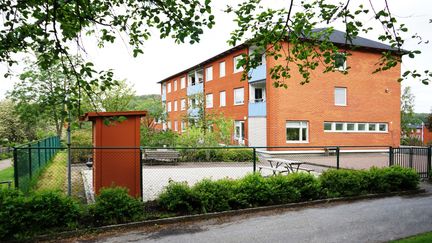 Ett träd i förgrunden och en stor röd tegelbyggnad i bakgrunden.