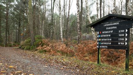 Skylt över vandringsleder och motionsslingor i naturmiljö