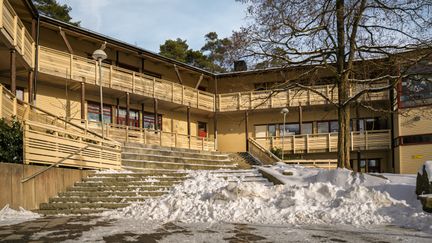 En överblick av Bergsgårdsskolan med ett par träd och en snötäckt trappa i fokus.
