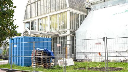 Ett stort växthus där delar är täckt av byggställningar. Framför står en blå container.