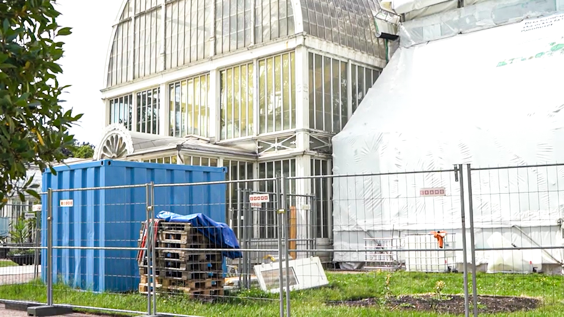 Ett stort växthus där delar är täckt av byggställningar. Framför står en blå container.