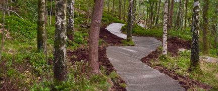 En slingrig grusstig i skogen med björkar och andra träd på vardera sida.