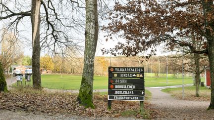 En skylt som visar olika motionsspår och vandringsleder i naturmiljö