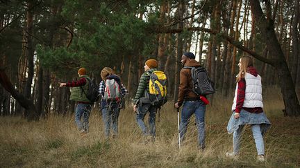 Flera personer vandrar i skogen.