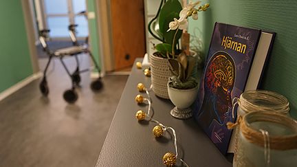 En bok om hjärnan står på en bänk.