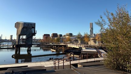 Jubileumsparken med bastun i fokus. 