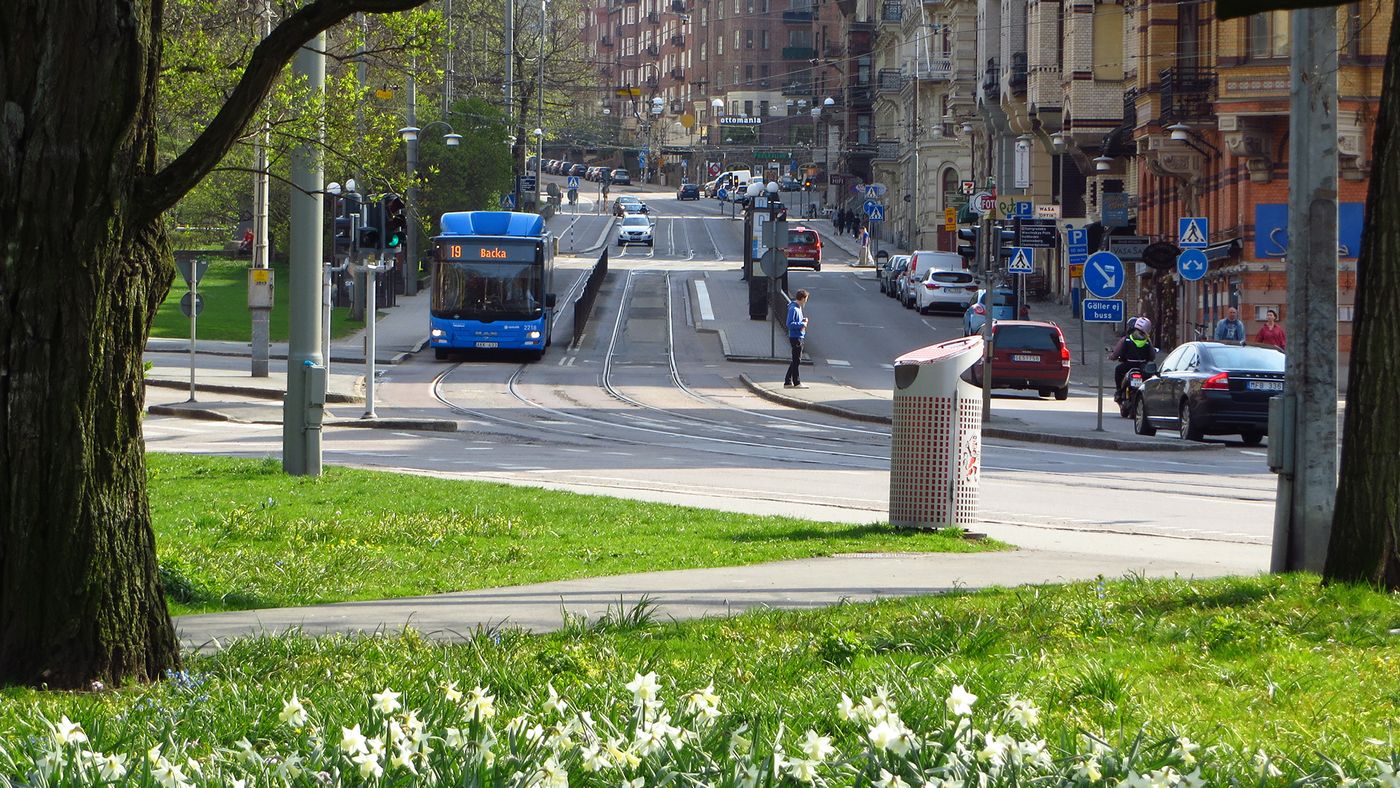Buss kör på en gata, med blommor i förgrunden.