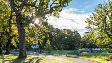 Foto: Steampipe Production Studio AB / Göteborg & Co