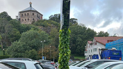 En lyktstolpe vid en parkering. En grön växt slingrar sig runt stolpen. Skansen Kronan syns i bakgrunden.