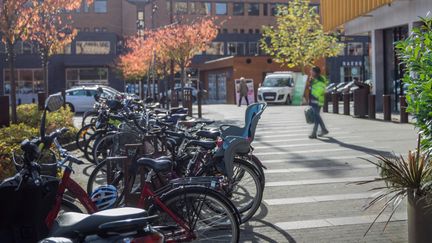 Många cyklar på en cykelparkering.