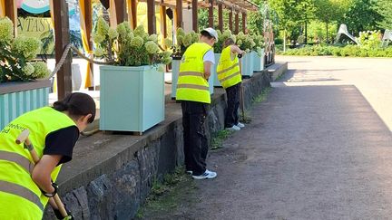 Tre lovjobbare jobbar med att rensa ogräs från en trädgårdsgång