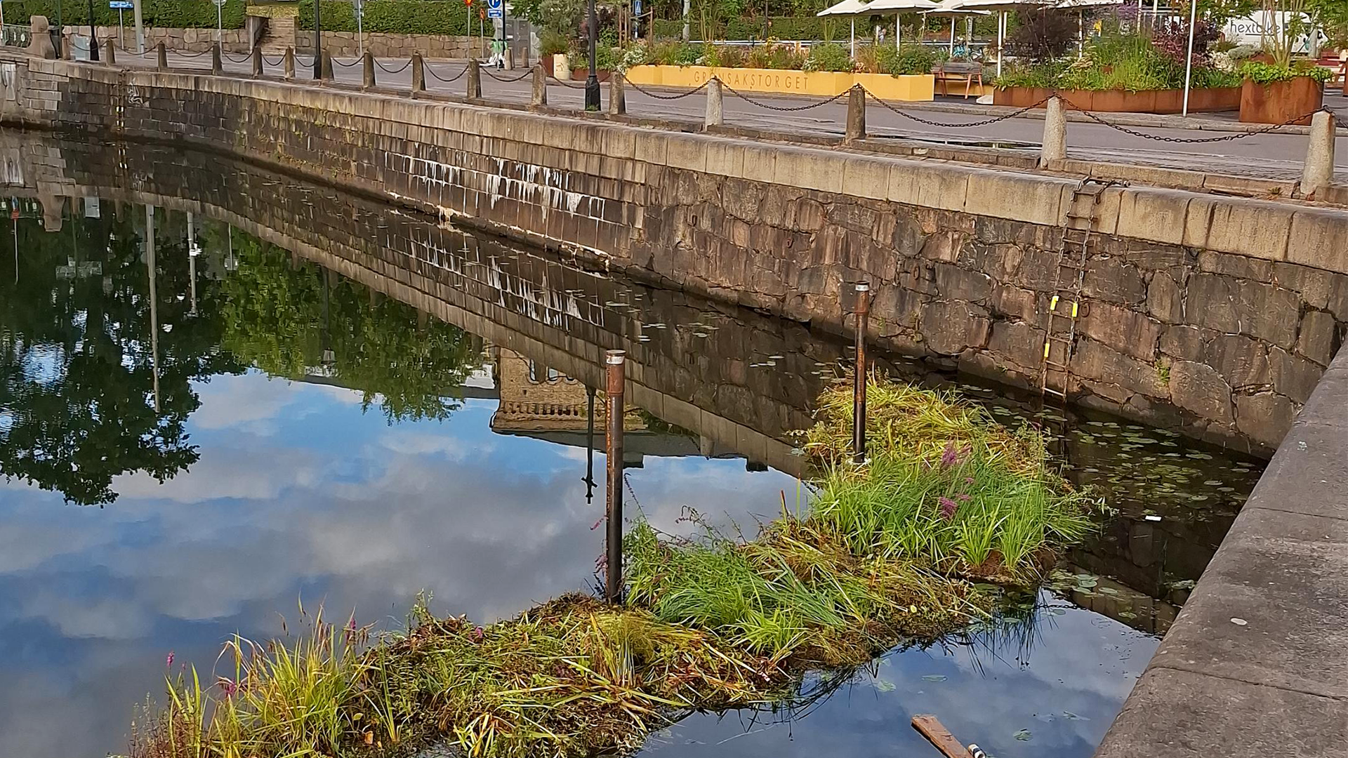 Göteborg testar flytande våtmark för renare vatten i Vallgraven