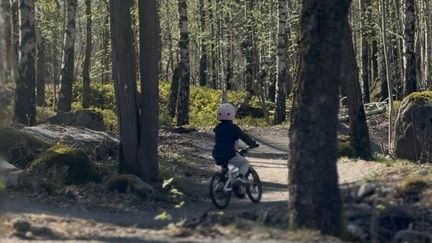 Pojke som cyklar i skogen