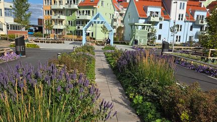 En av planteringarna i Flygparken som leder in i den Blå hangaren.