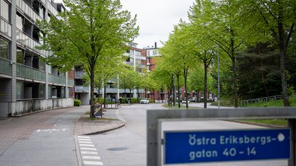 Väg, parkeringar och cykelbana med trädrad ser det ut idag i det aktuella området.