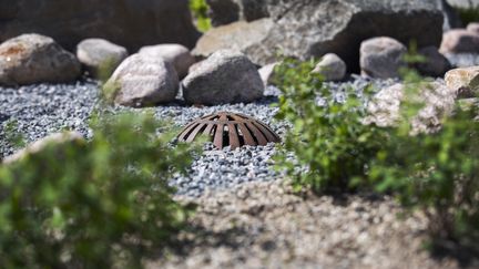  Ett foto av en växtlighet, staket, stenar, makadam och en brunn.