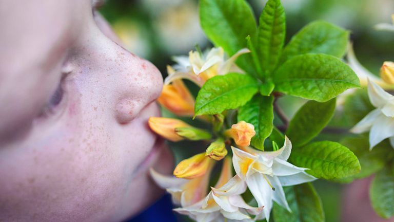 Barn med fräknar som luktar på en blomma