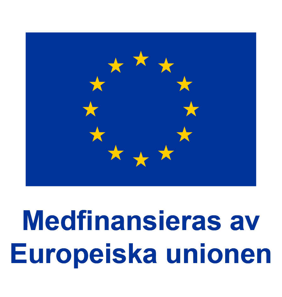 Logotyp med EU-flaggan och texten "Medfinansieras av Europeiska unionen".