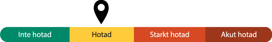 Fyrgradig skala fr&aring;n Inte hotad (1) till Akut hotad (4), som visar att gul anka &auml;r p&aring; niv&aring; 2 av 4.