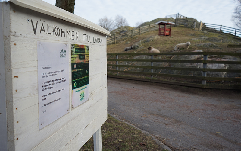 En lantlig miljö med en djurhage i bakgrunden. I front är det en skylt där det står "Välkommen till Ladan".