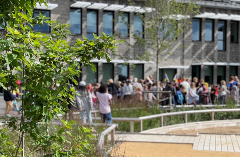 Grönskande träd i förgrunden och folksamling och skolhuset i bakgrunden