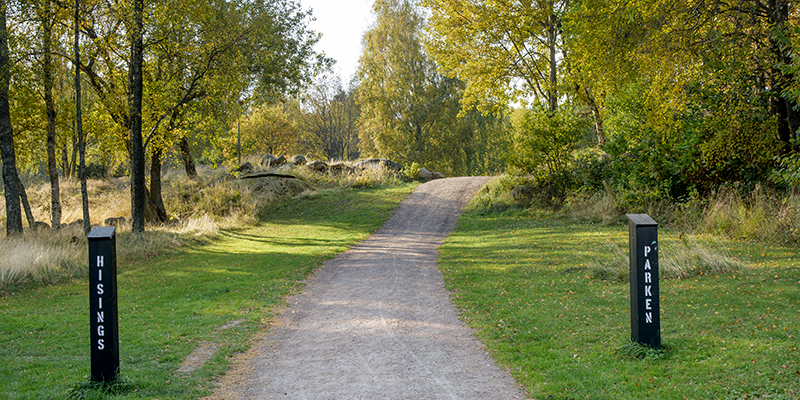 Bild på entréstolpar till Hisingsparken, gångväg i grusunderlag och lövträd längs vägen. Fotograf: Peter Svenson