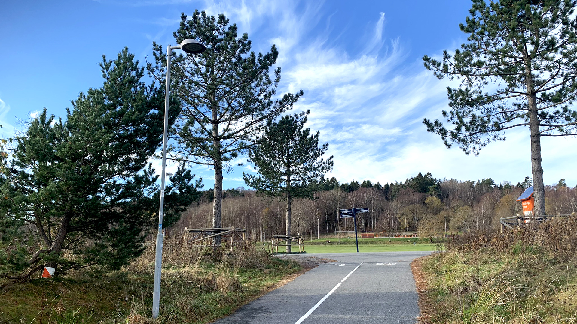 Korsning gång- och cykelväg med fyra stora tallar. Fotbollsplan i bakgrunden