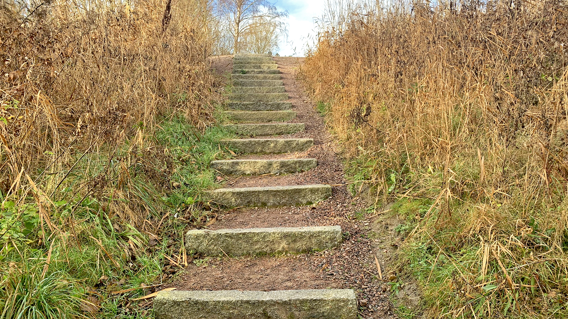 En trappa med djupa trappsteg gjorda av sten och grusade ytor omringad av grönska.