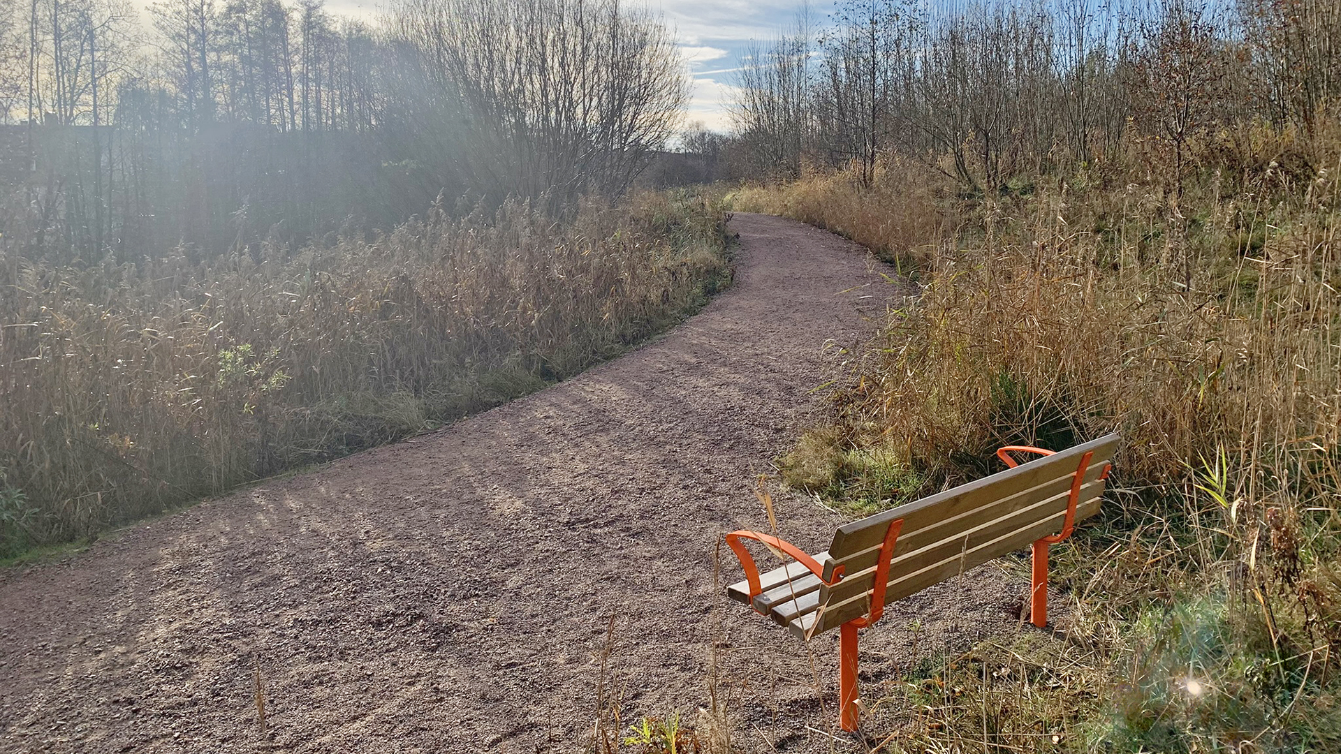 En bänk vid en grusstig med utsikt över grönska